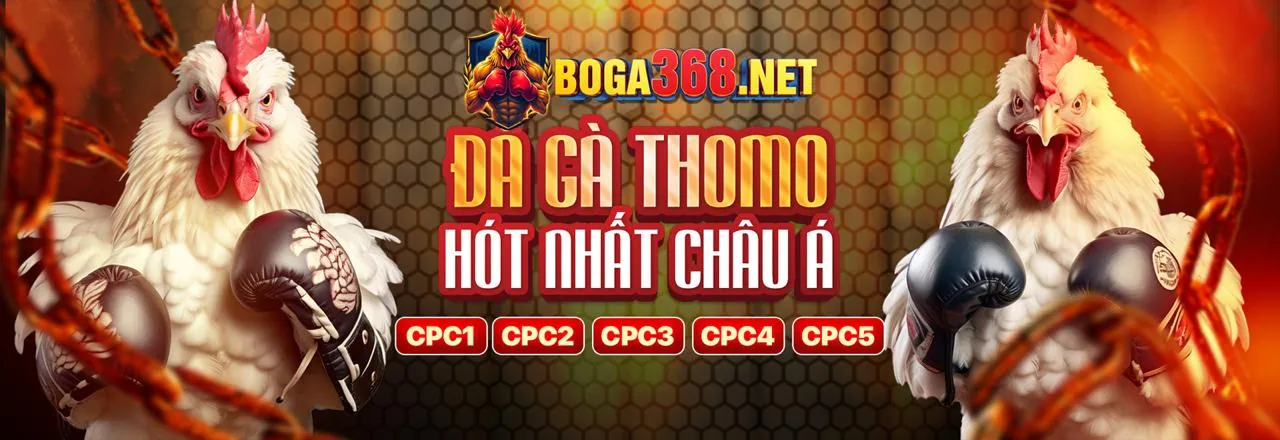 Hình ảnh khuyến mãi chào mừng thành viên mới của e88 code